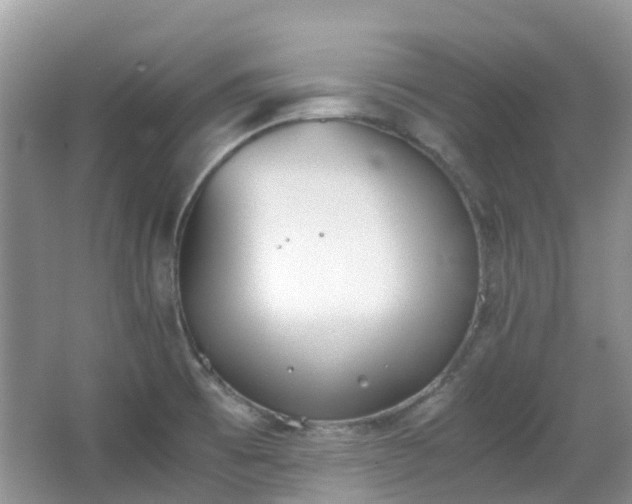 X0000063521473200601231503