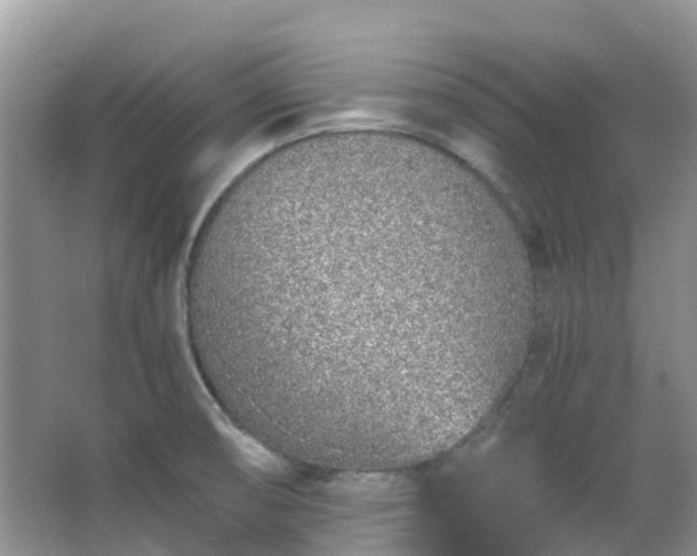 X0000063521474200601231503