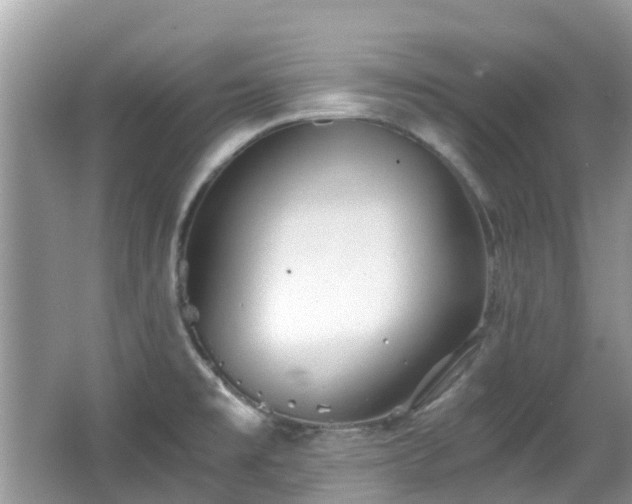 X0000063521477200601231503