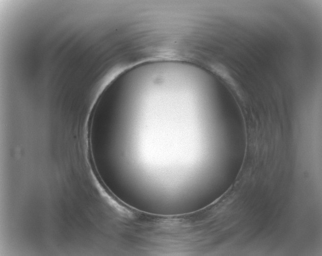 X0000063521479200601231503