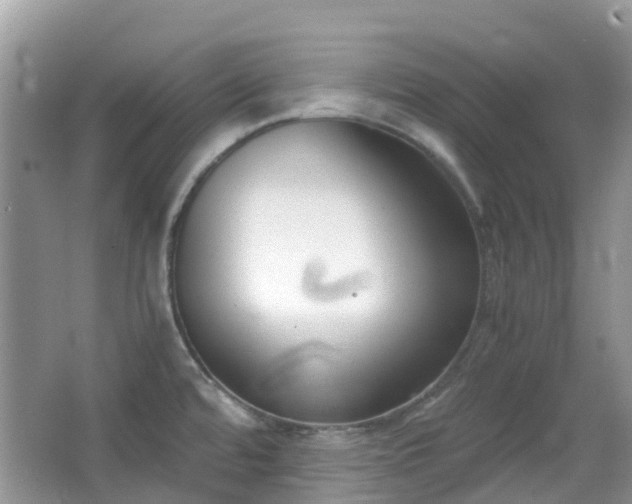 X0000063521480200601231503