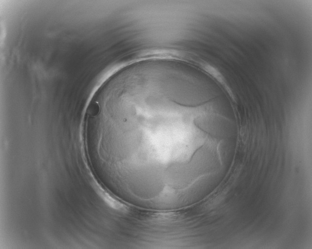 X0000063521482200601231503