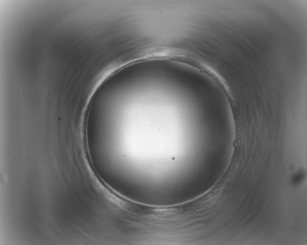 X0000063521483200601231502