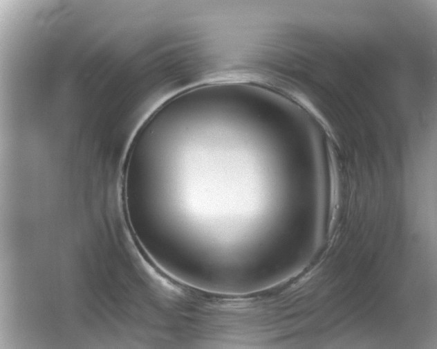 X0000063521484200601231502