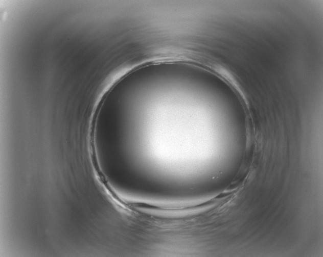 X0000063521485200601231502