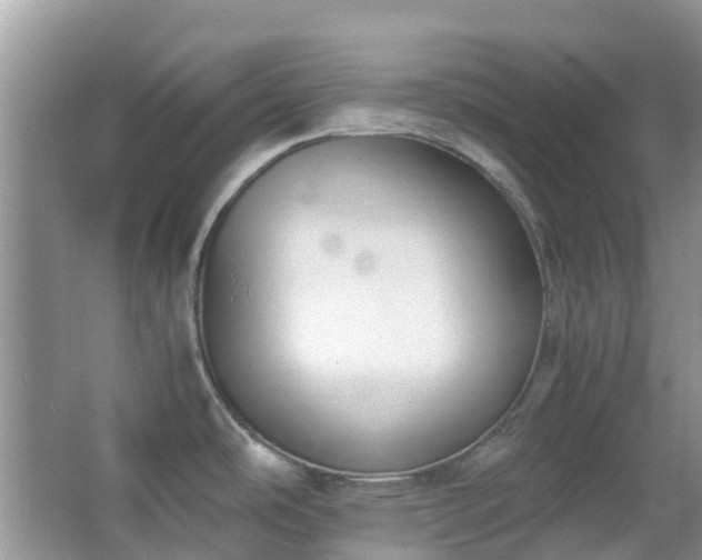 X0000063521486200601231502