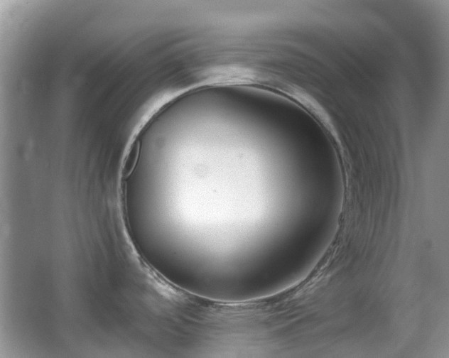 X0000063521488200601231502