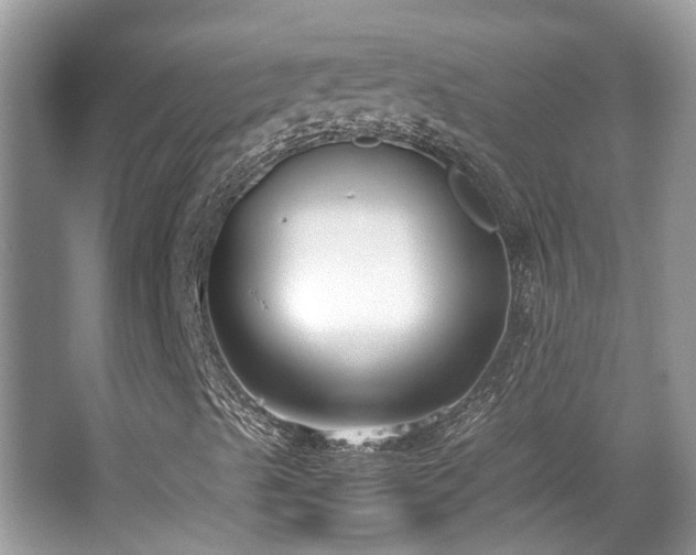 X0000063521489200601231502