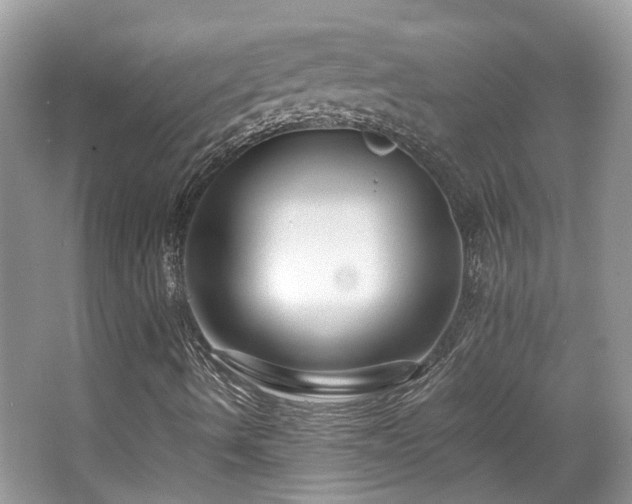 X0000063521490200601231502