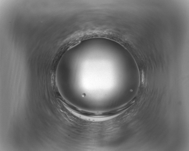 X0000063521492200601231502