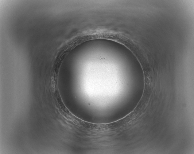 X0000063521493200601231502