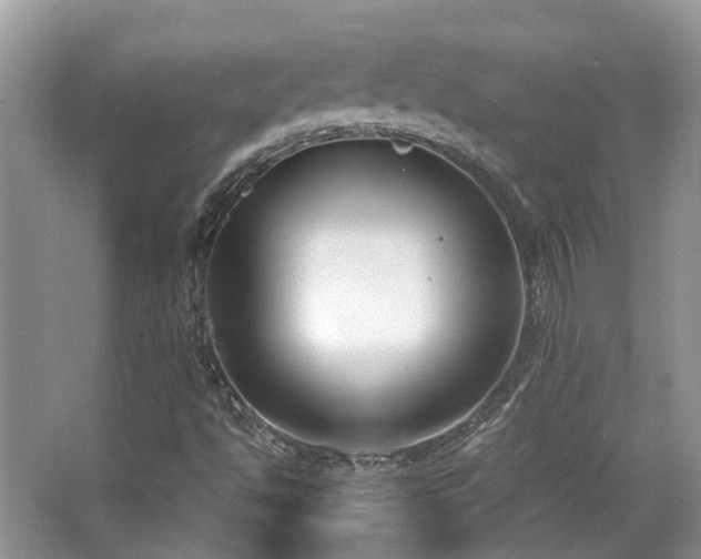 X0000063521494200601231502