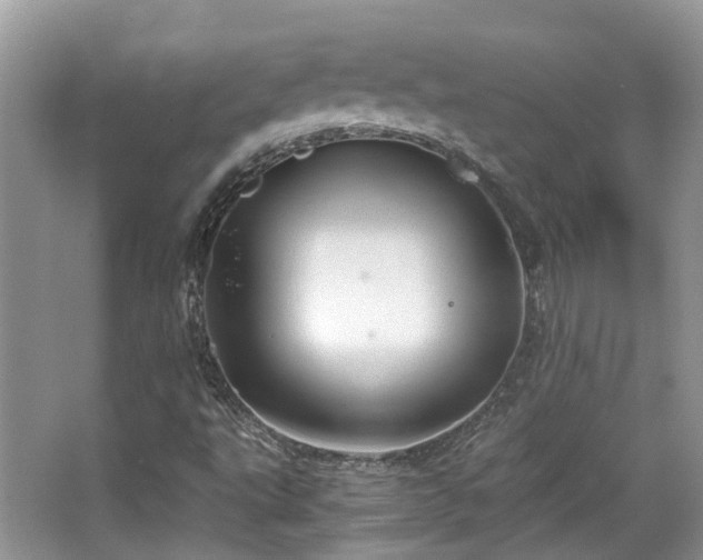 X0000063521495200601231502