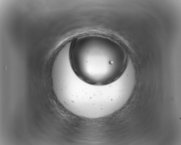 X0000063521496200601231502