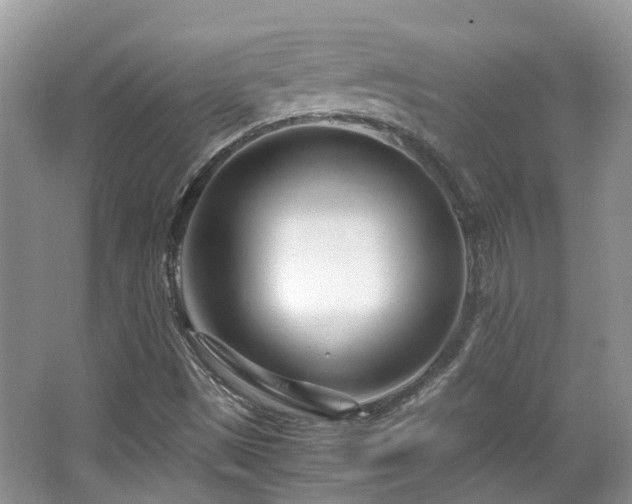 X0000063521497200601231502