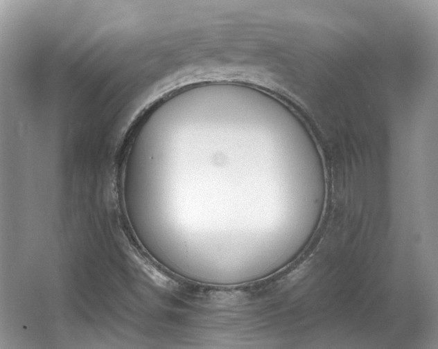 X0000063521498200601231502