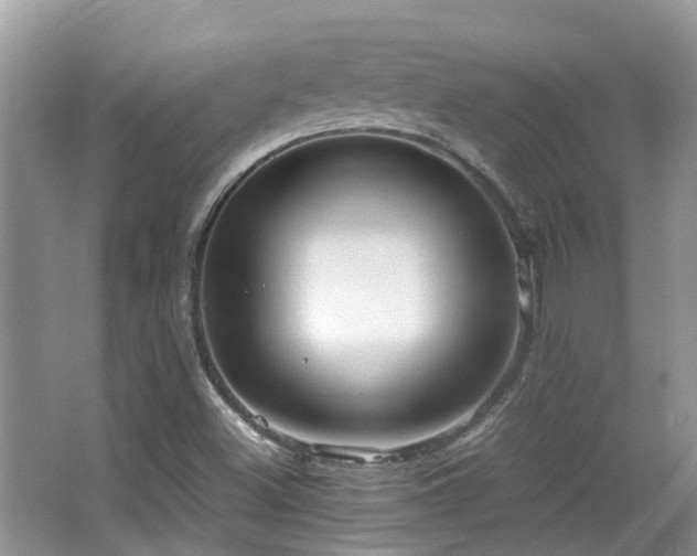 X0000063521500200601231502