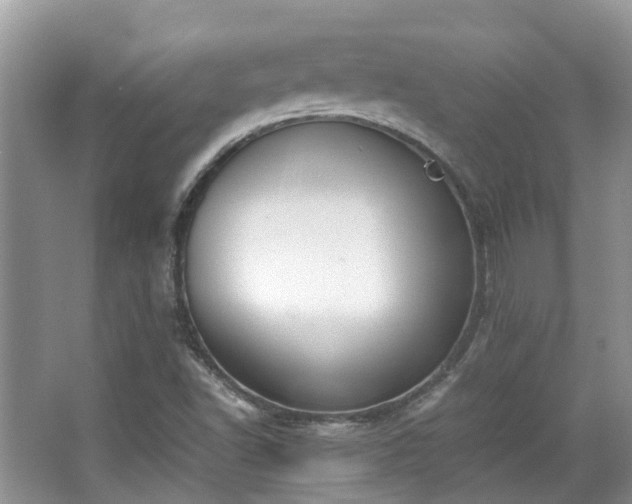 X0000063521502200601231502