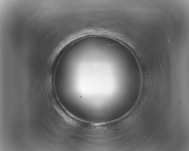 X0000063521503200601231502