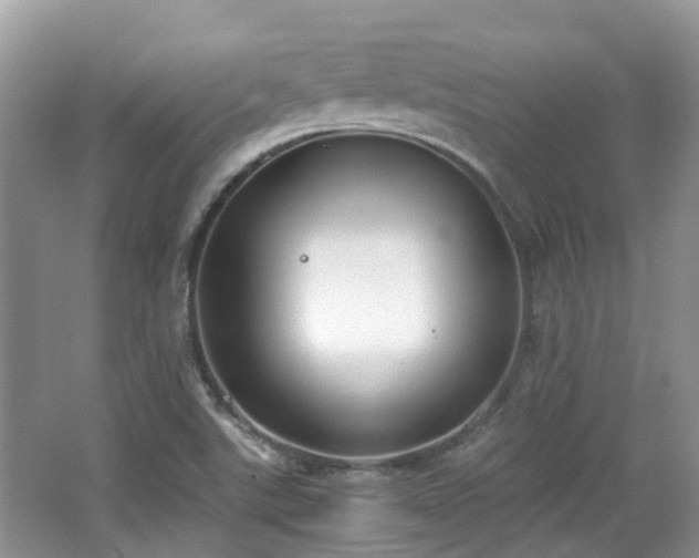 X0000063521507200601231502