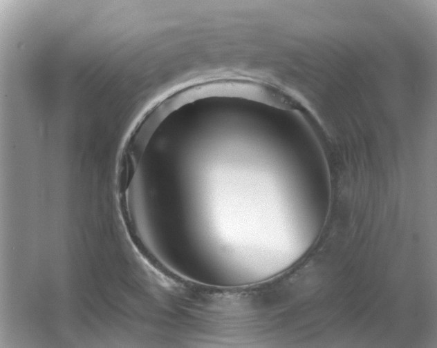 X0000063521508200601231502