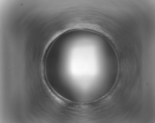 X0000063521517200601231502