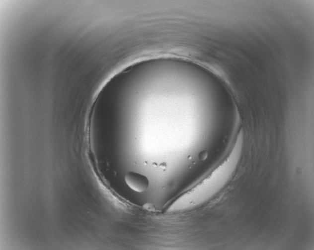 X0000063521524200601231502