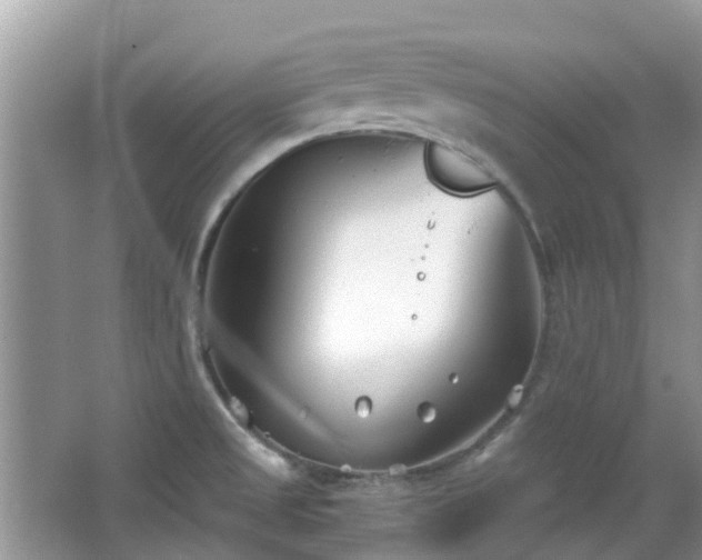 X0000063521525200601231502