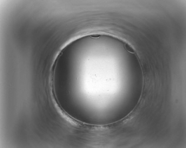 X0000063521526200601231502