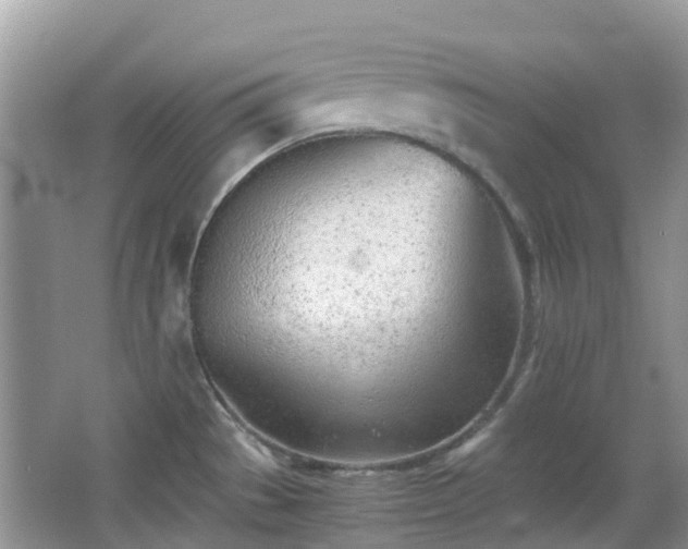 X0000063521529200601231502