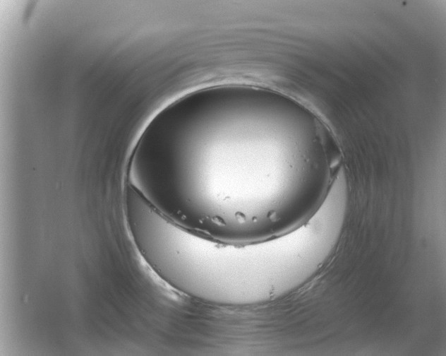 X0000063521532200601231502