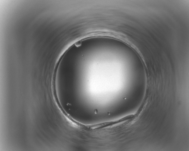 X0000063521533200601231502