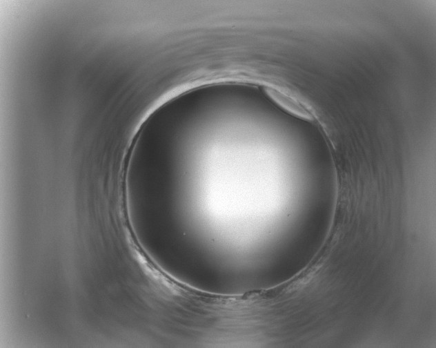 X0000063521534200601231502