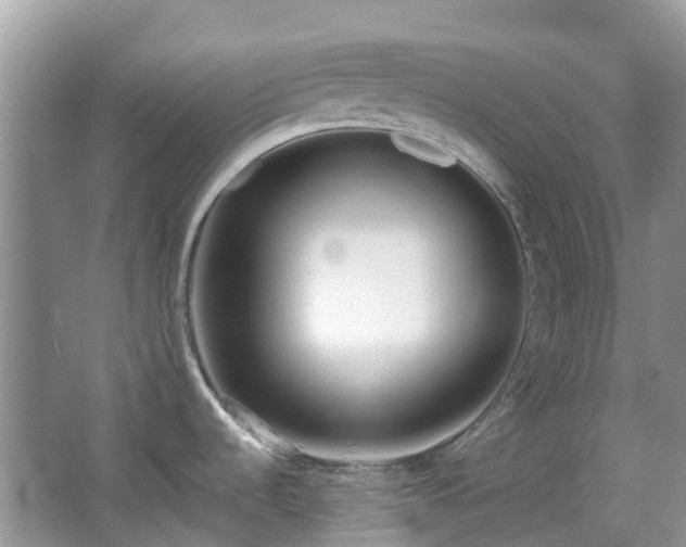 X0000063521536200601231502