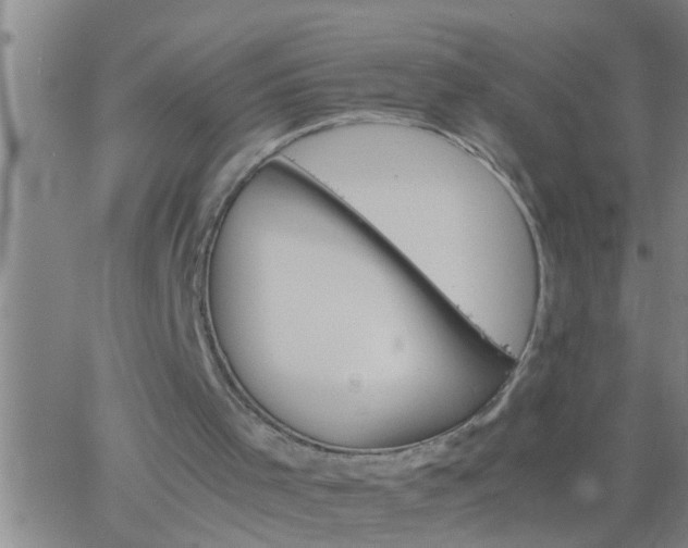 X0000063520001200601271848