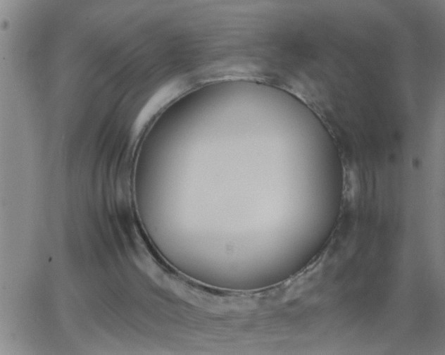 X0000063520004200601271847