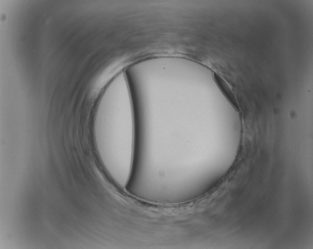 X0000063520005200601271847