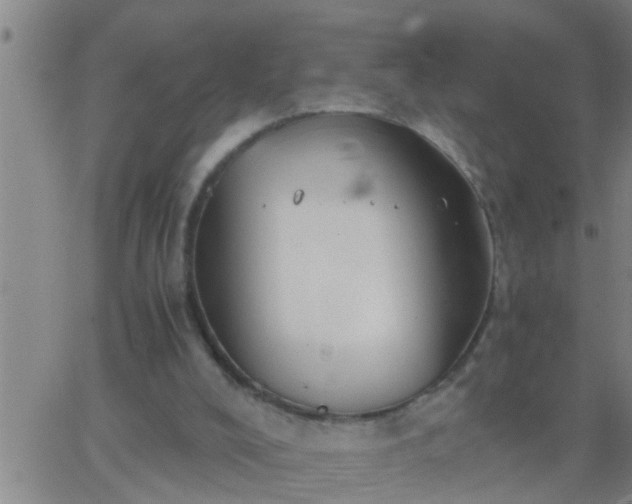 X0000063520008200601271847