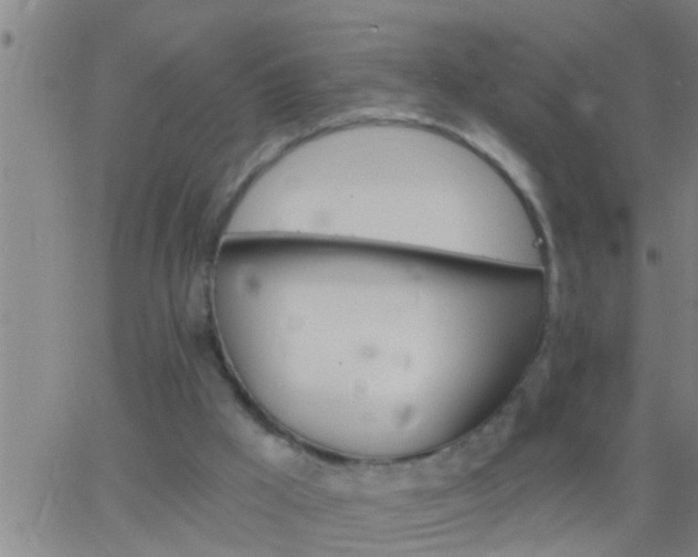 X0000063520009200601271847