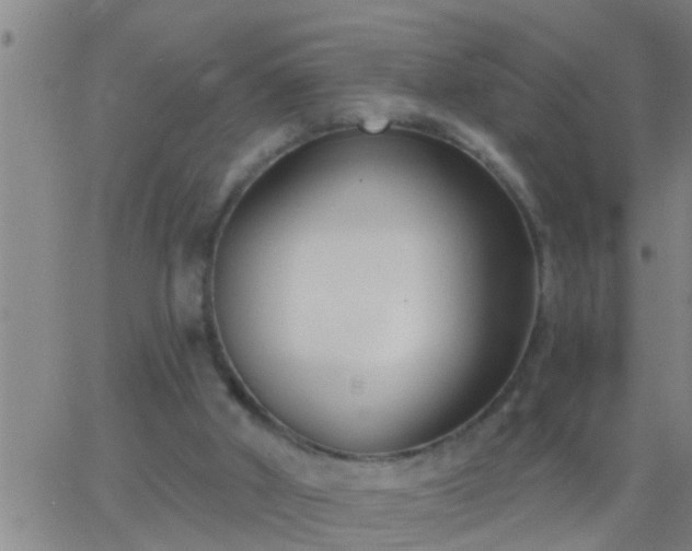 X0000063520010200601271847