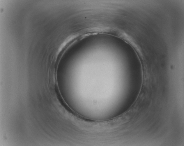 X0000063520011200601271847