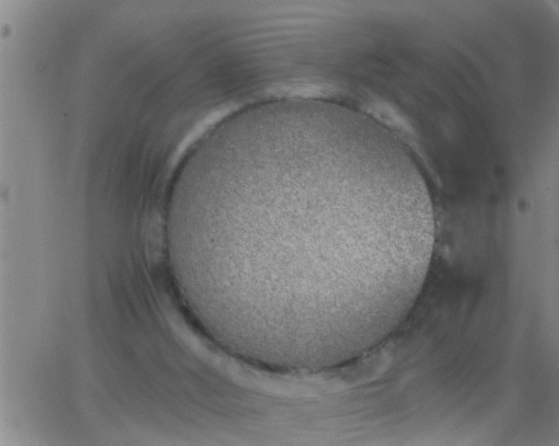 X0000063520012200601271847