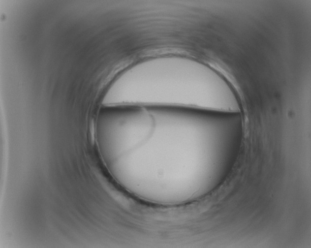 X0000063520013200601271847