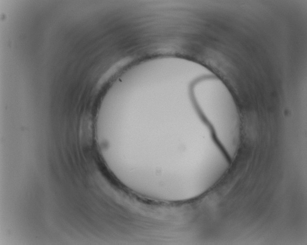 X0000063520016200601271847