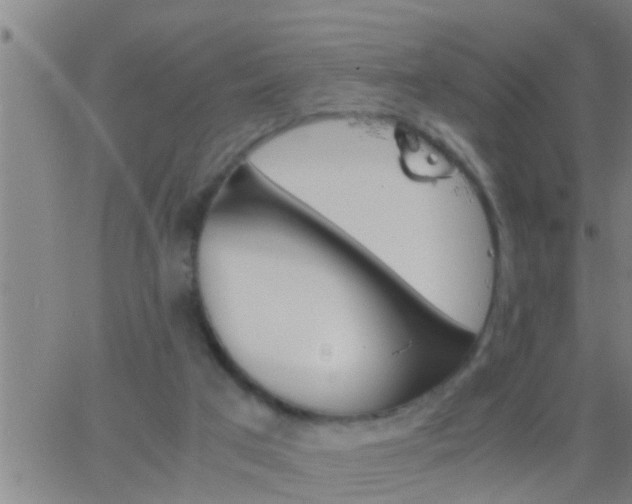 X0000063520017200601271847