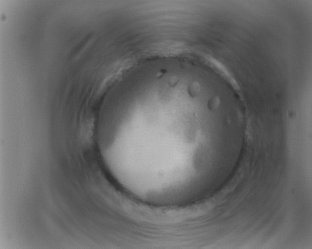 X0000063520018200601271847