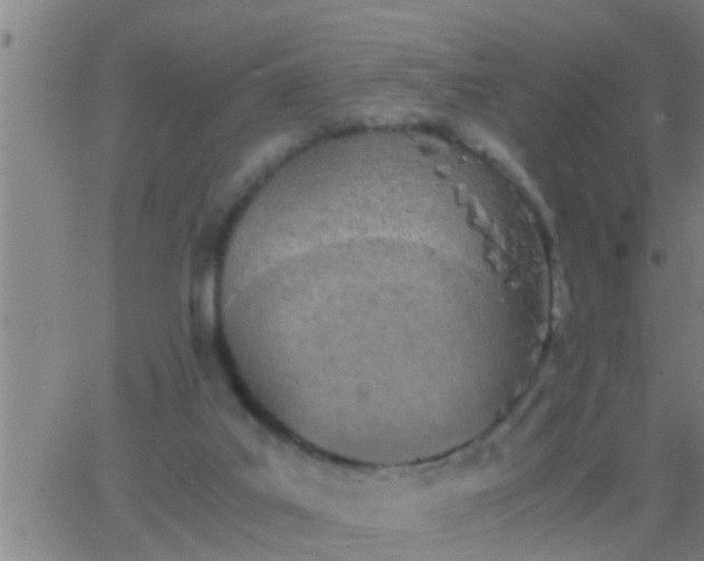 X0000063520019200601271847