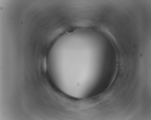 X0000063520020200601271847