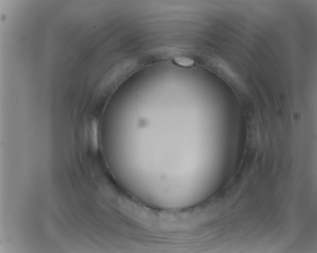 X0000063520022200601271847