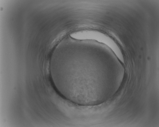 X0000063520023200601271847